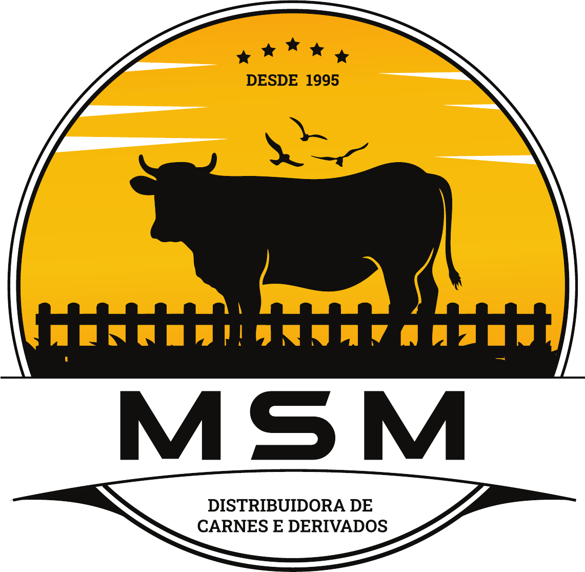 MSN Distribuidora de Carnes e Derivados